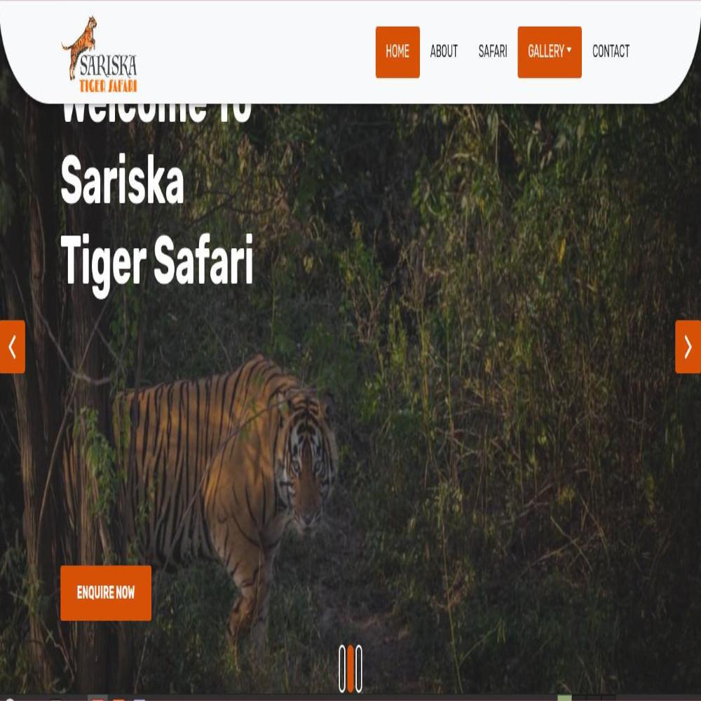 Sariska Tiger Safari