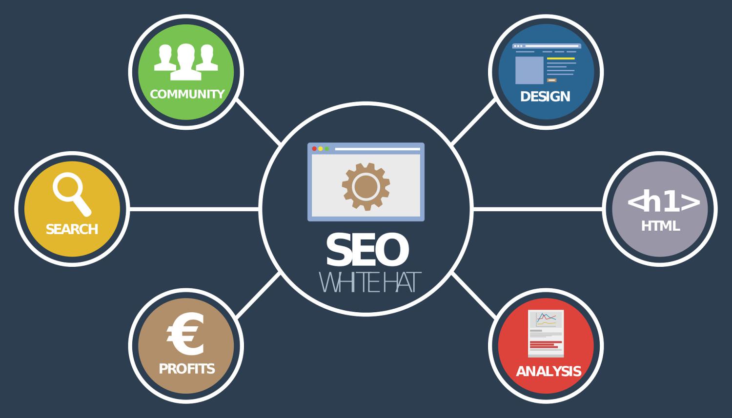 Complete Search Engine Optimization Services