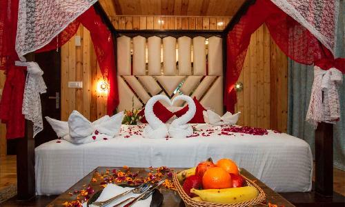 What Makes Cottages in Manali a Rendezvous for Honeymooning Couples?
