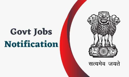 How To Get Government Job Alert for Free?